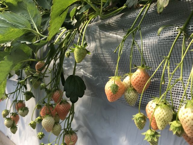 �W��i���������j_���c��������