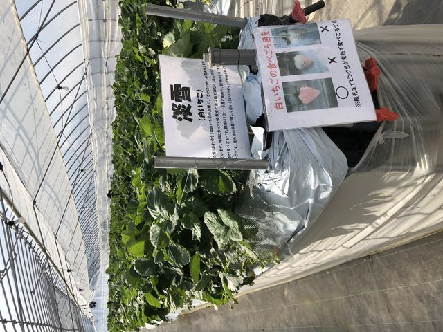 ������₷����������_���c��������