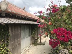 ݂ڂ̐Ί_h[όւ̓eʐ^1