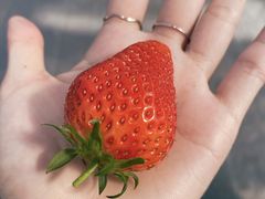 rinóyɐzƂւ̓eʐ^2