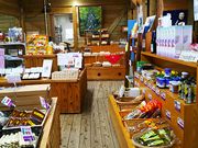 ˂񂳂̒ŗtYZ^[uƖ{wv̓eʐ^4