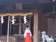 みどりさんの大井神社（静岡県島田市）の投稿写真2