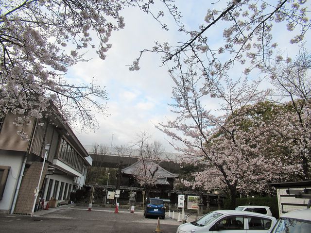 ���É����Ƌ{