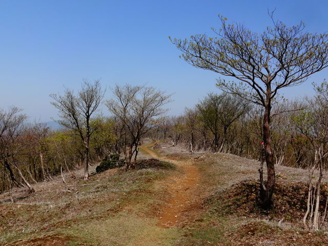 ��]�R�A��c���R�[�X_��]�R�A��c���R�[�X