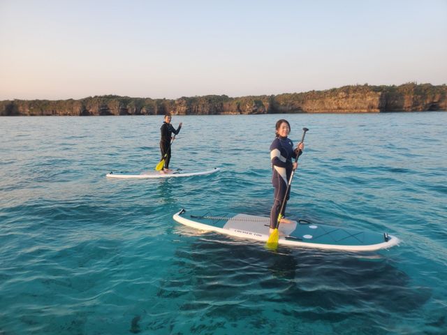 �V�C���ǂ��ĊC���u���[�ł���_�u���[�t�H���X�g�{�Ó�