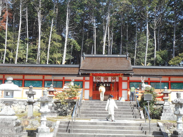 �ߘa��N�O����\���_�匴��_��