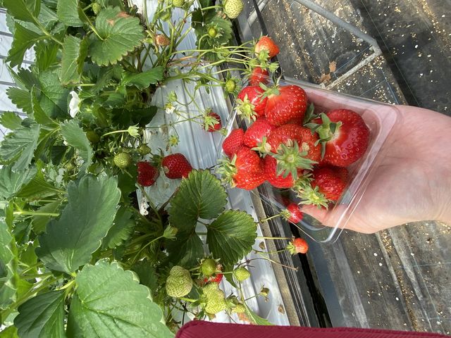 �^���ԂȂ���������������I�I_��t�@�[���i��-����-�j