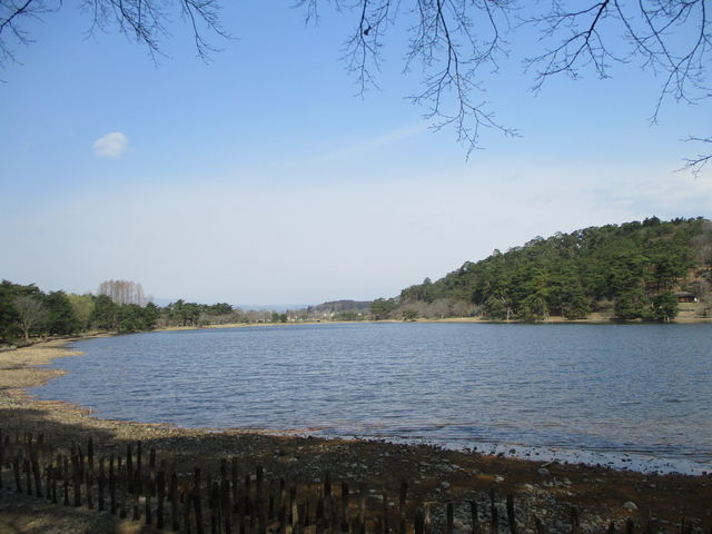 ��݂���_���