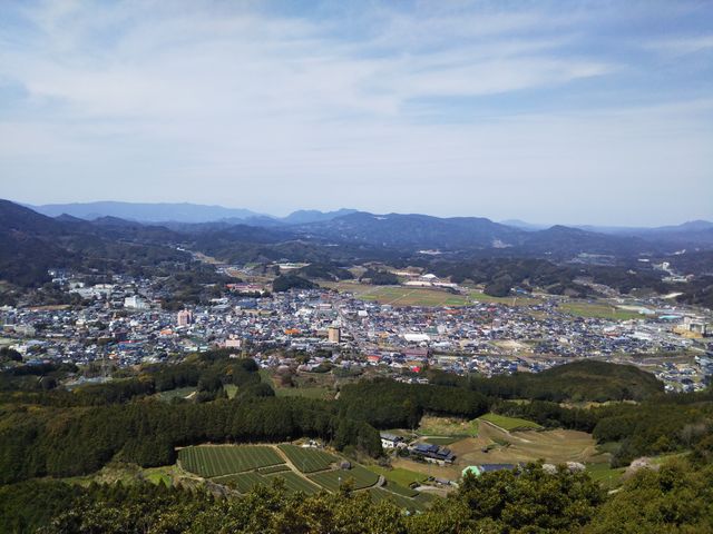 �W�]�䂩��̎ʐ^�ł�_����W�]��