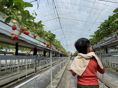 ̈t@[i--jւ̓eʐ^2