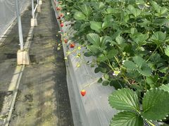 ͂邳̕ct@[@x[ւ̓eʐ^1