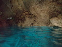 MOHEY̐̓A@Dive@ւ̓eʐ^1