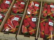 񂳂̂_𗬌CZ^[̓eʐ^2