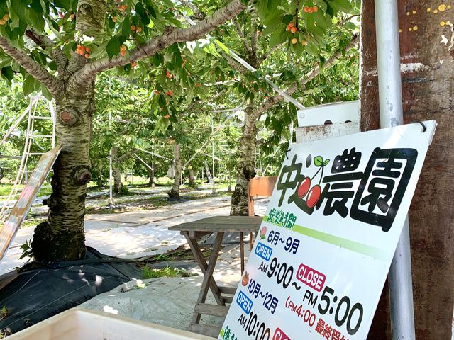 �����_���̓����_�����_��