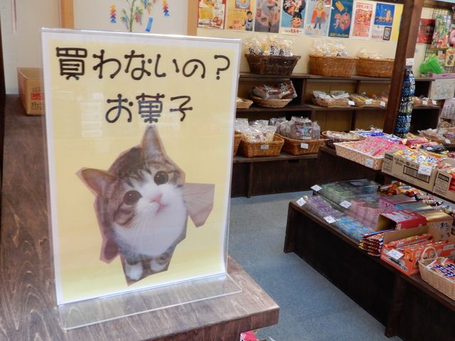 �u�����܂��I�v_�X�p�n�E�X������ۂ���