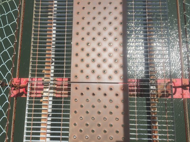 Ƃ񂳂̂Ƃ΁EƂ݋̓eʐ^1