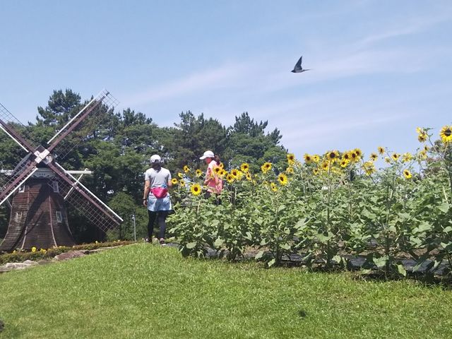 �������