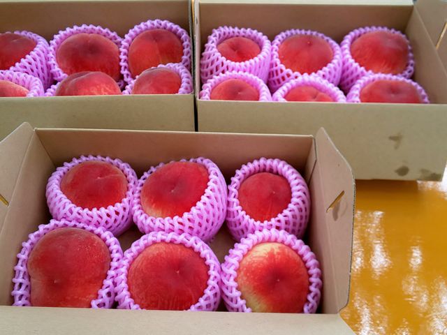 �n������
_����_��