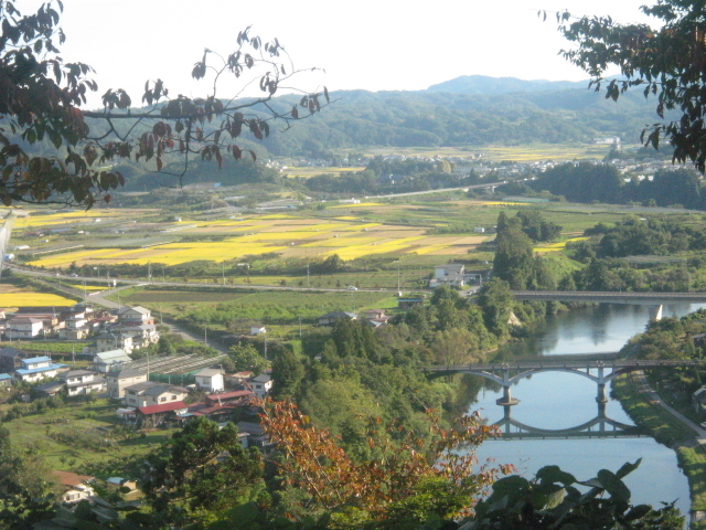 ̂䂫̍|RjՌi{j̓eʐ^2