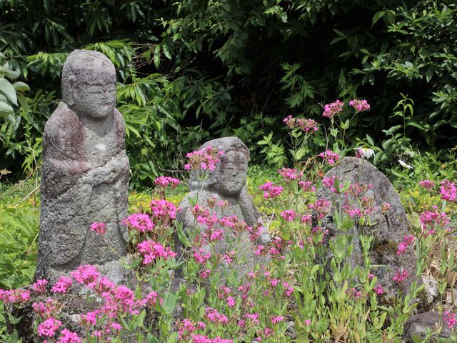 Ƃ񂳂̏HRZ^[uƂ˂ځv̓eʐ^4