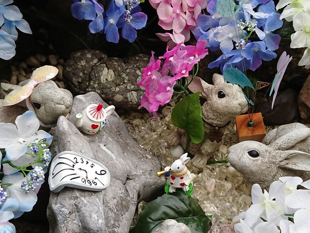 �؂芔�̒��͍������z�ԁB�܂�ŕs�v�c�̍��̃A���X�̈��ʂ����Ă���悤�ł��B_�O�֐_��