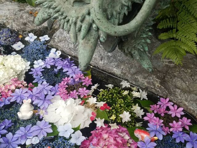 �萅�ɂ̒��ɂ����z�Ԃ̉Ԃ������ׂĂ���܂����B�v�J�v�J�����Ă邤�������񂪋C�����ǂ������ł��B_�O�֐_��