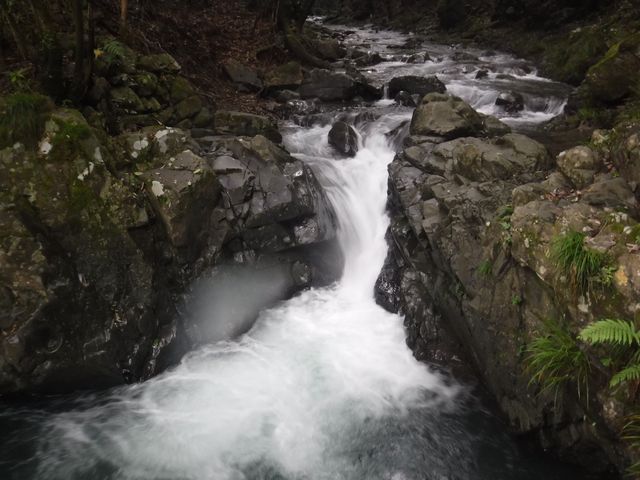 WvX|bgłBΑlWvł܂B

_teBOHEART