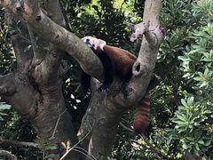 ͂񂳂̔Moiijւ̓eʐ^1