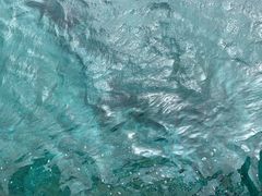 ɂႽ̌cǊ(P})C攼cA[X@OPGւ̓eʐ^1