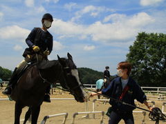 西条 広島県 駅周辺の乗馬ランキングtop2 じゃらんnet