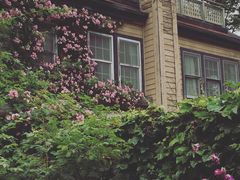 ƂɂȂȍ oN CObV K[fւ̓eʐ^2