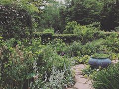 ƂɂȂȍ oN CObV K[fւ̓eʐ^3