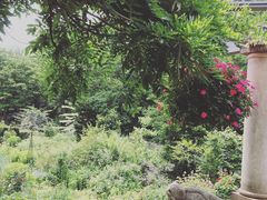 ƂɂȂȍ oN CObV K[fւ̓eʐ^4