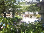 ߋT|~̈m썑_Ђ̓eʐ^1