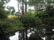 �Ё[����񂳂�̂��ƂߎR�����̓��e�ʐ^3