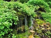 񂳂̗_̑i쌧{sj̓eʐ^2