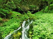 񂳂̗_̑i쌧{sj̓eʐ^3