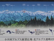 ����������̃A���v�X�W�]�L��̓��e�ʐ^1