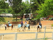 Ƃ炳񂳂̏nNuNCL̓eʐ^1