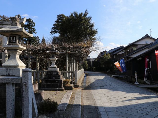 ���I�̉��̓��B�������͋C�ł��B_�ݎm�����_��