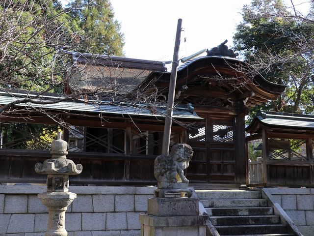 �{�a�B_�ݎm�����_��