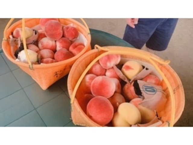 ����������������Ȃ̂����J�ɋ����Ē�������������n�ł��܂����I_�������̉���