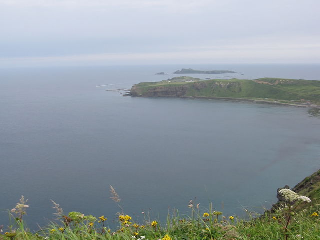 �g���b�L���O�R�[�X_�當�K�C�h�T�[�r�X