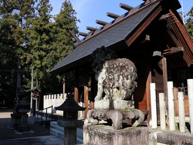 �q�a�B_�b�ǐ_��