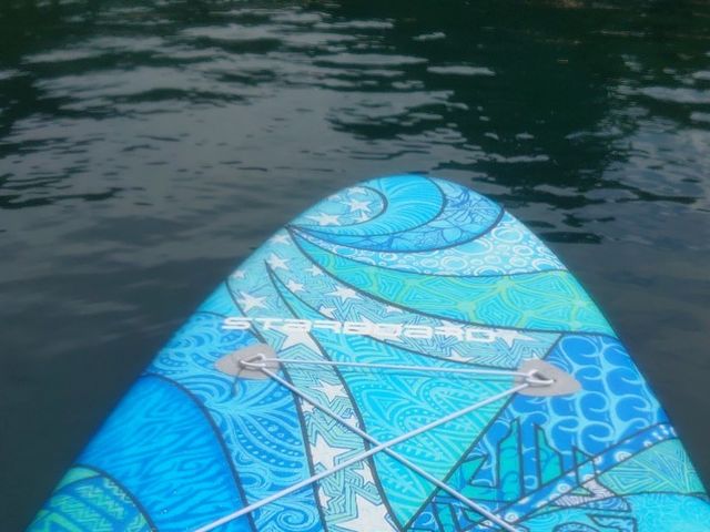 �ӊO�Ƃ���Ȃ���܂���_�m����A�E�g�h�A�Z���^�[