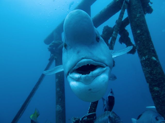 �R�u�_�C����B�J�����������炱�������Ă��ꂽ�R(�E�́E)�m _�_�C�r���O�V���b�vKIAORA