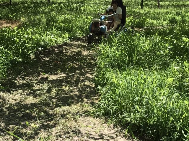 �q���ƃS�[�J�[�g_�V���_��@���}�i�J�ʉ�