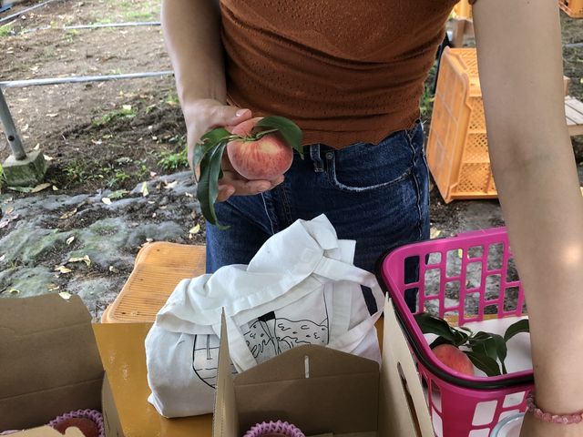 ���l�߂���`�������A�A��ɐH�ׂ�~�ƃT�[�r�X���I
����H�ׂ�Ȃ�ăr�b�N�����܂����B_����_��