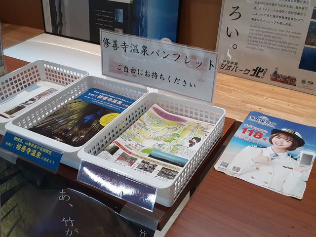 �p���t���b�g_���̉w �ɓ�������