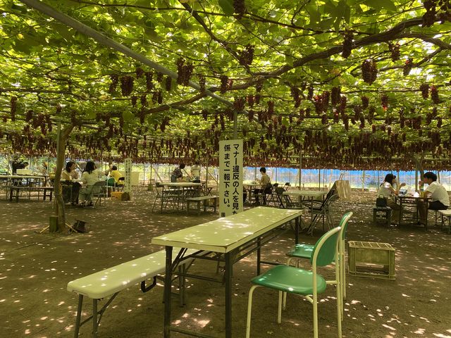 ���Ƃ����ɍ����Ă������ł��܂��B�ĂȂ̂ŁA�����̂͏����ł��B_�K�ʉ�